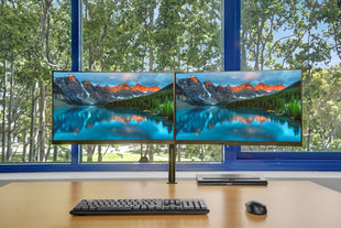 HP EliteDisplay E243 Dual-Monitor System with Dual Arm & Cables (Refurbished)