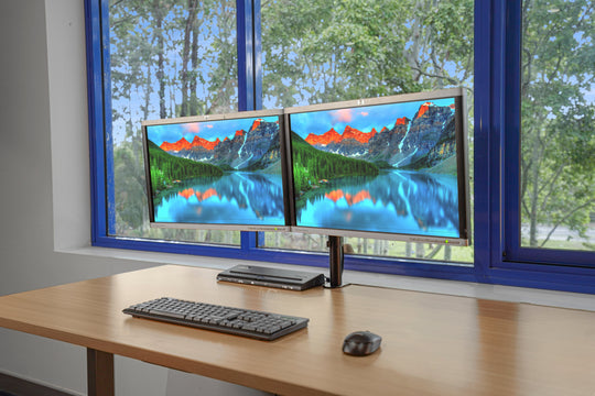 HP LA2205wg 22" Dual Monitor Bundle with Adjustable Arm & Cables (Refurbished)