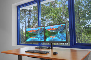 Lenovo LT2252Pwd 22" Dual Monitor Work From Home Setup with Arm & Cables (Refurbished)