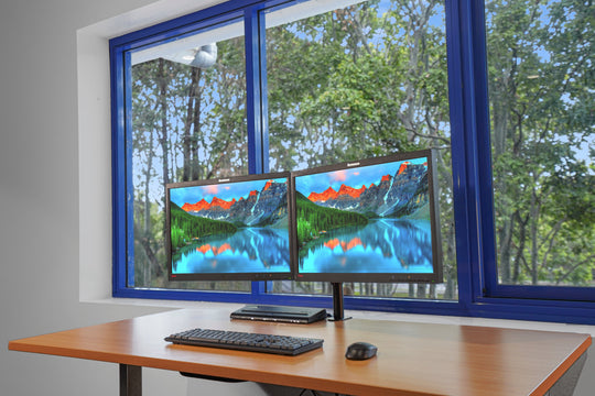 Lenovo LT2252Pwd 22" Dual Monitor Work From Home Setup with Arm & Cables (Refurbished)