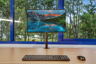 Dell UltraSharp U2520D 25" 2K QHD Monitor Bundle with Arm & Cables (Refurbished)