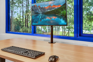 Dell UltraSharp U2520D 25" 2K QHD Monitor Bundle with Arm & Cables (Refurbished)