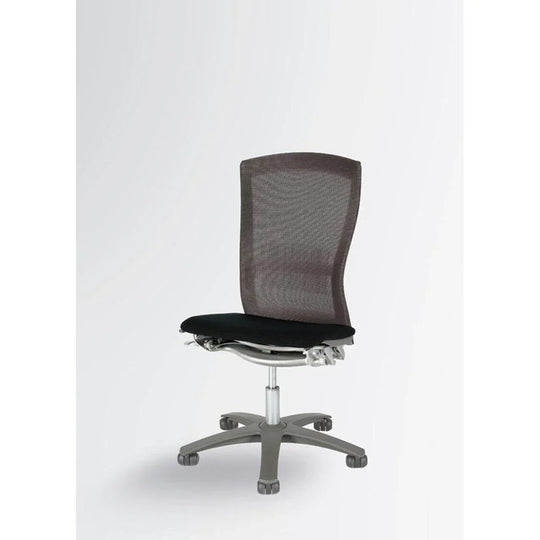 'Life' Ergonomic Officechair by Formway (Used)