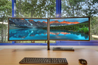 Dell P2414H 24" FHD Dual Monitor Bundle with Adjustable Arm & Cables (Refurbished)